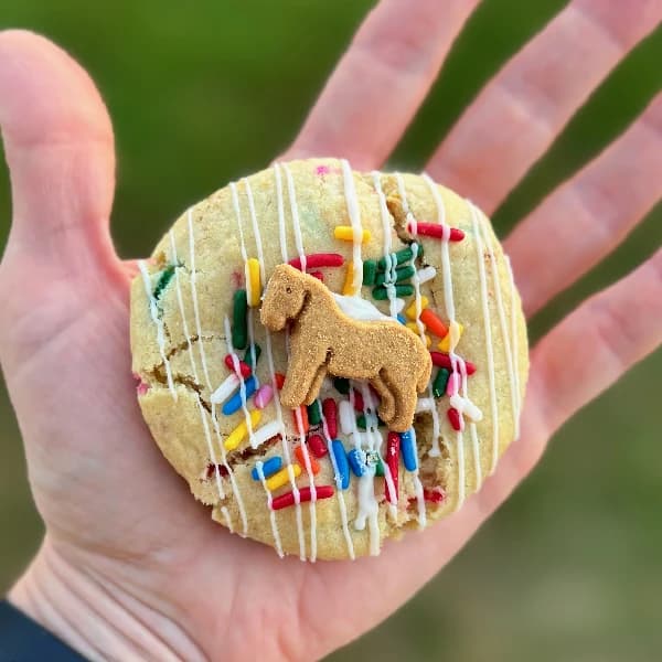 Funfetti Fix - bursting with rainbow sprinkles and classic vanilla cake flavor